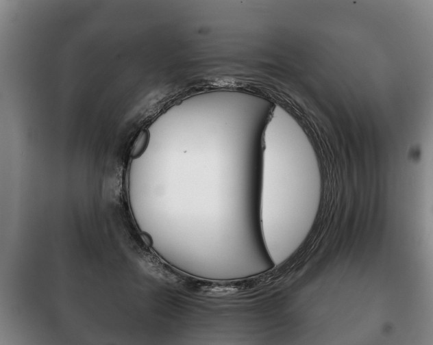 X0000100420554200806060950