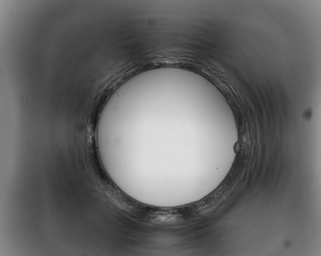 X0000100420555200806060950