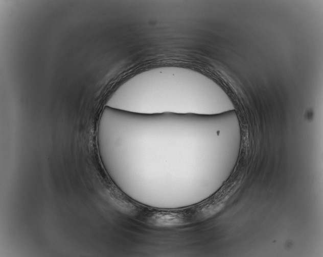 X0000100420557200806060950