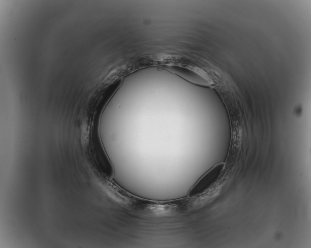 X0000100420558200806060950