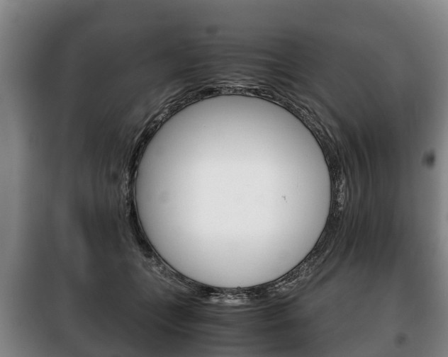 X0000100420559200806060950