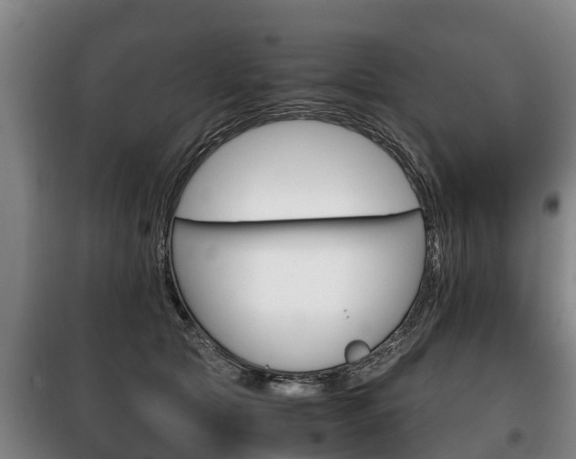 X0000100420561200806060950