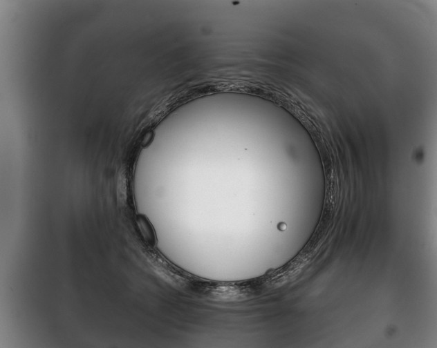 X0000100420562200806060950
