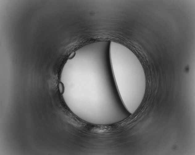 X0000100420563200806060950