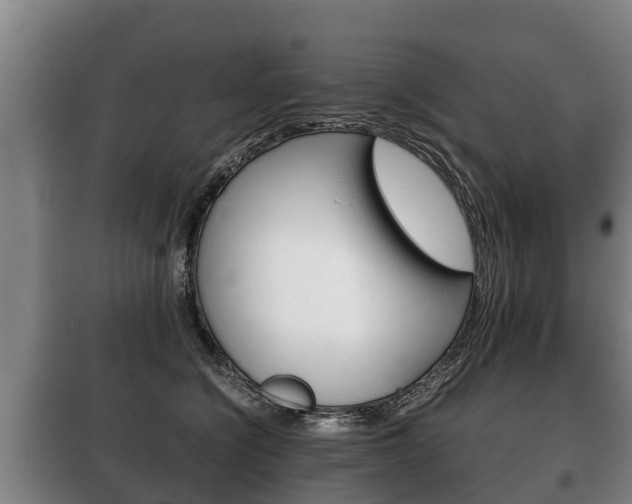 X0000100420564200806060950