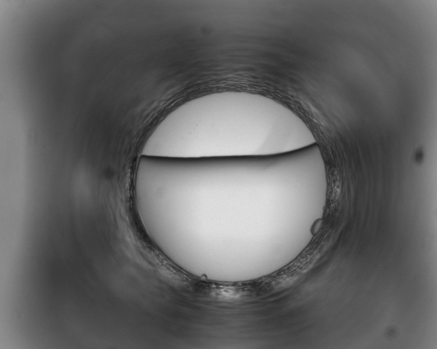 X0000100420565200806060950