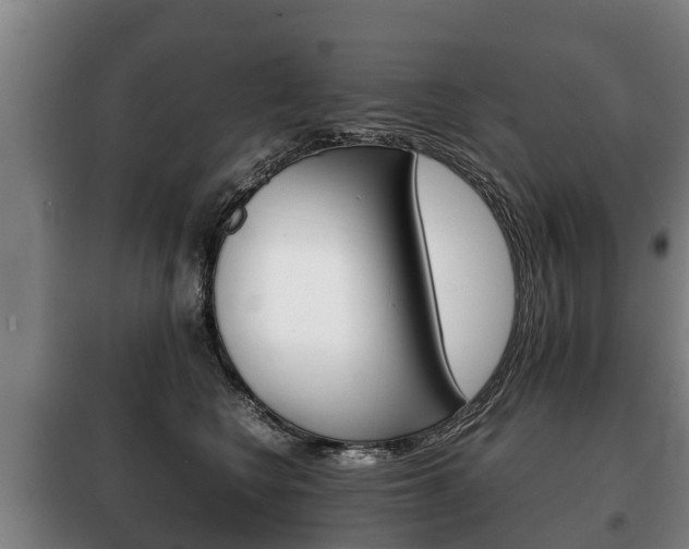 X0000100420566200806060951