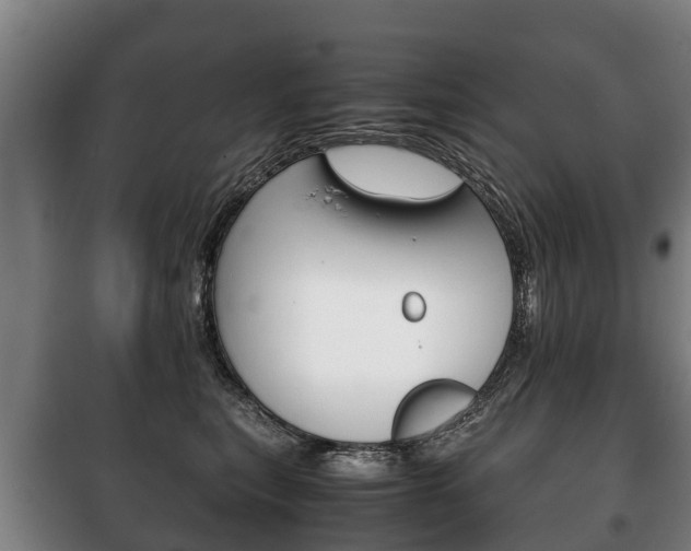 X0000100420567200806060951
