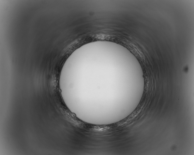 X0000100420569200806060951
