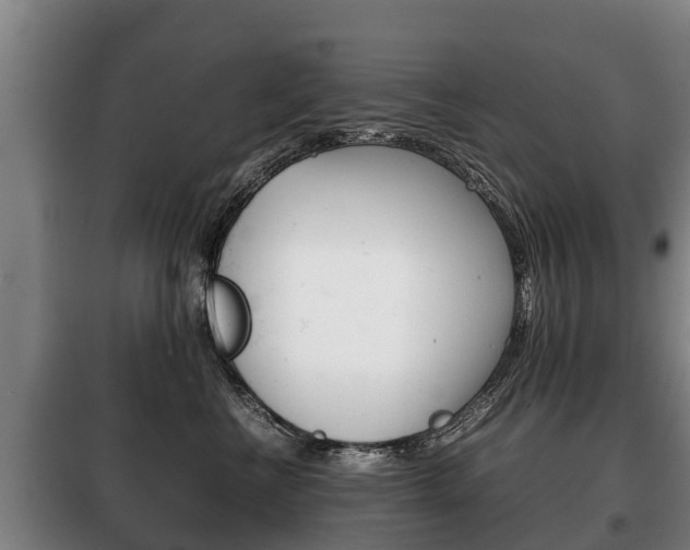 X0000100420570200806060951
