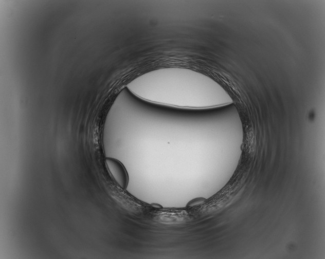X0000100420571200806060951