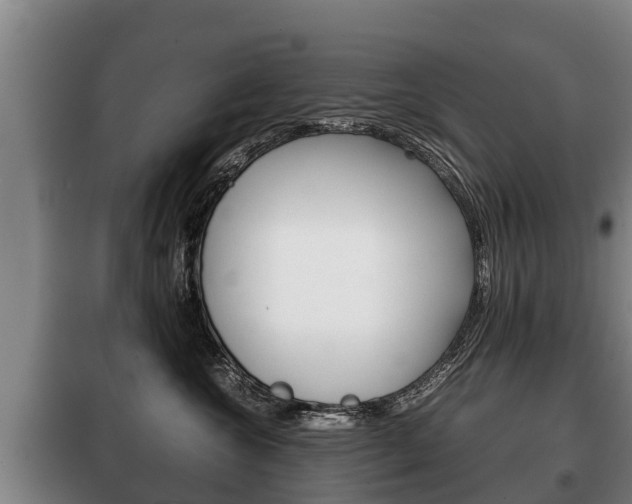 X0000100420572200806060951