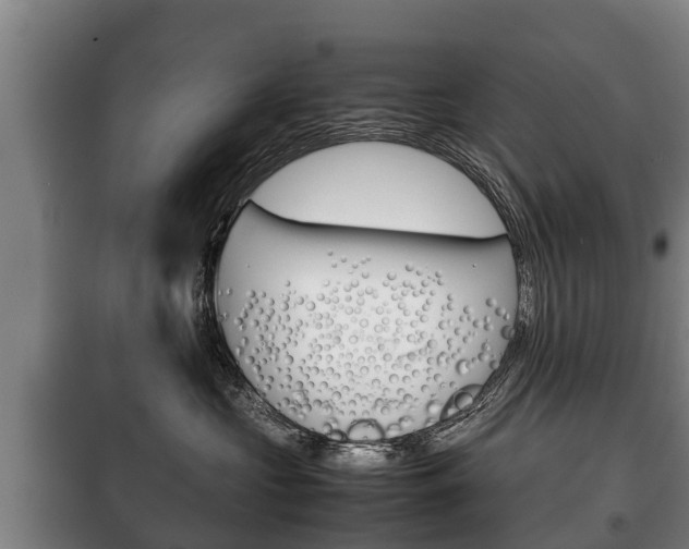 X0000100420573200806060951