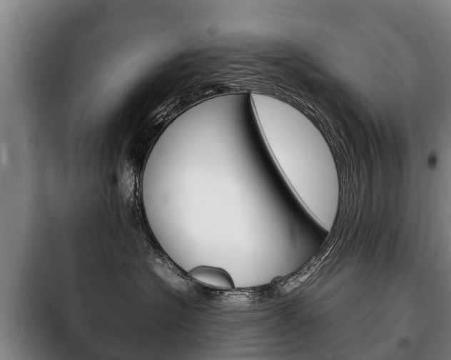 X0000100420574200806060951