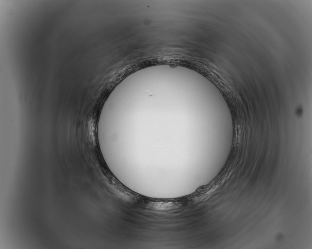 X0000100420575200806060951