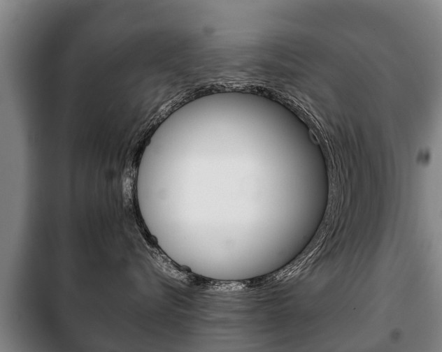 X0000100420576200806060951