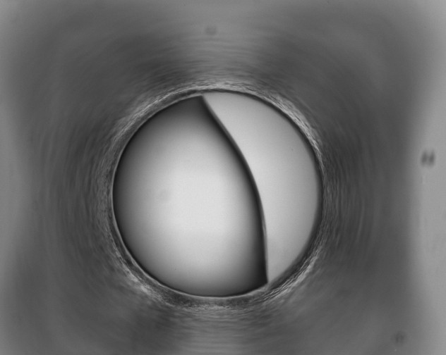X0000100420577200806060950