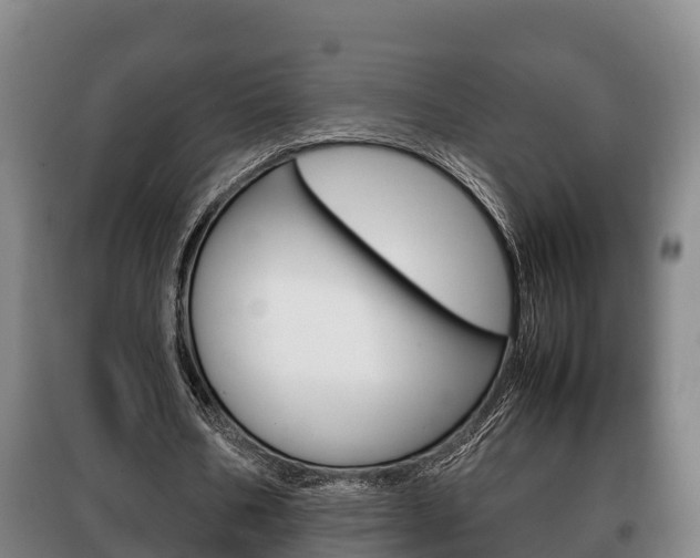 X0000100420578200806060950