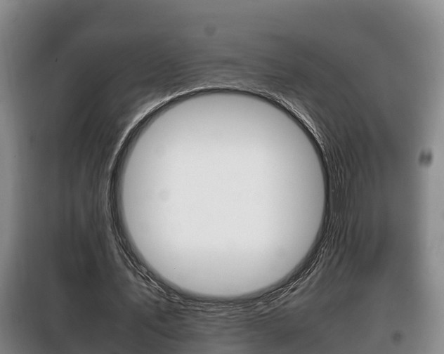 X0000100420579200806060950