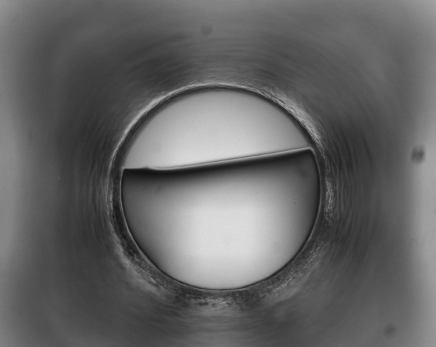 X0000100420580200806060950