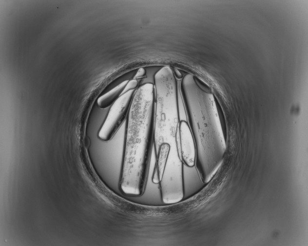 X0000100420581200806060950