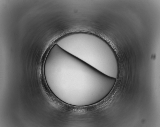 X0000100420582200806060950