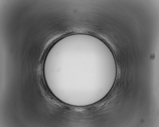 X0000100420583200806060950