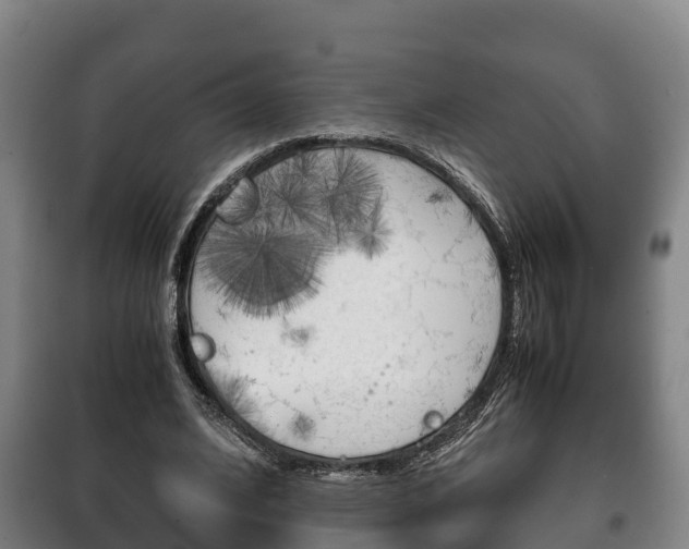 X0000100420584200806060950