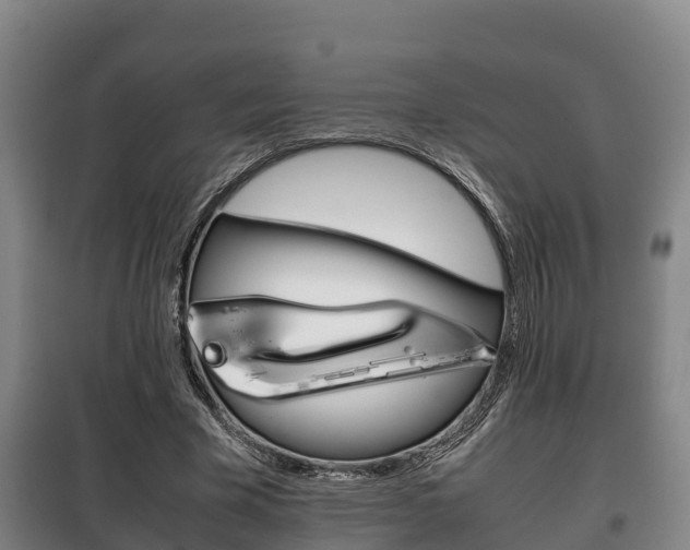 X0000100420585200806060950