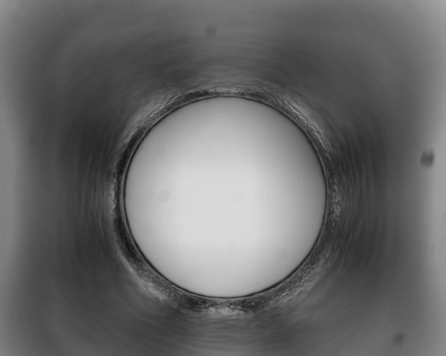 X0000100420586200806060950