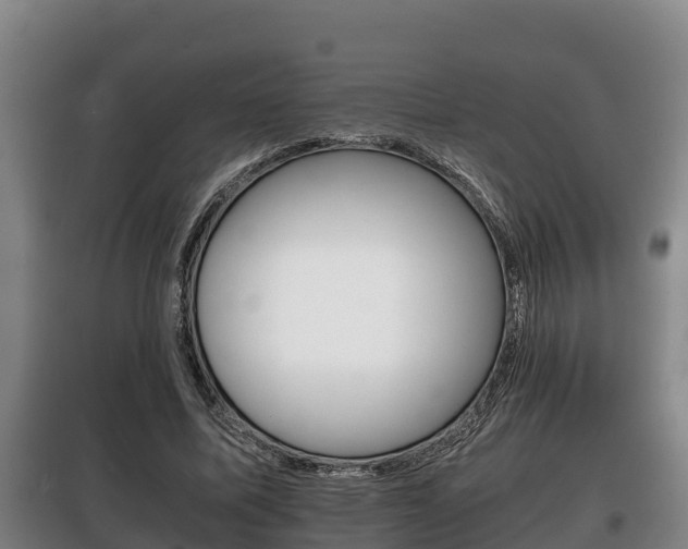 X0000100420587200806060950