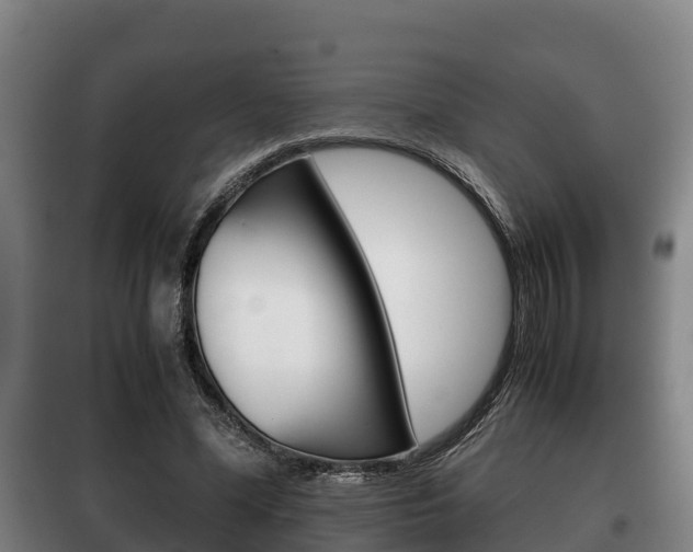 X0000100420588200806060950