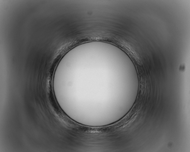 X0000100420590200806060950