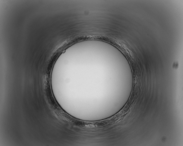 X0000100420591200806060950