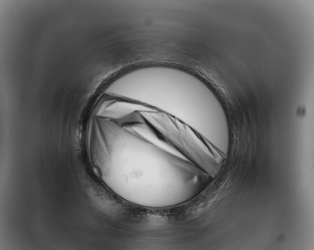 X0000100420592200806060950
