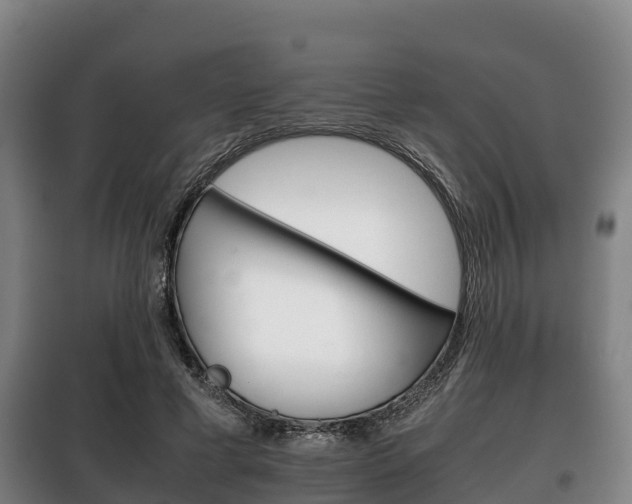 X0000100420593200806060950