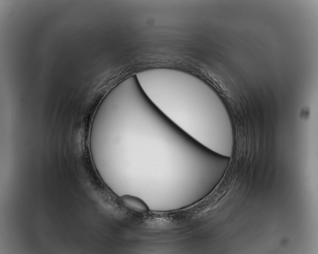 X0000100420594200806060950