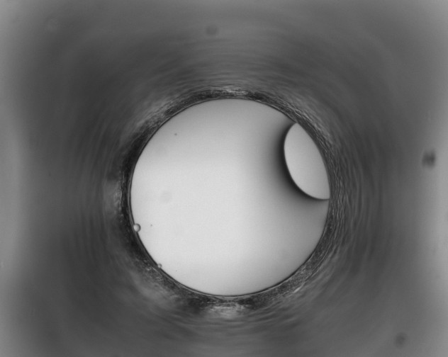 X0000100420595200806060950