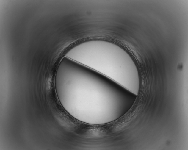 X0000100420596200806060950