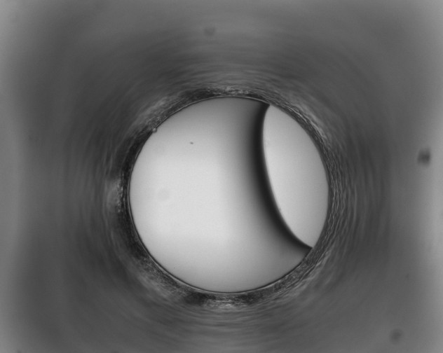 X0000100420597200806060950