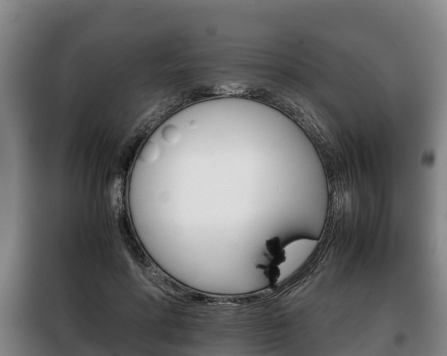 X0000100420598200806060950