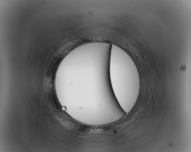 X0000100420599200806060949