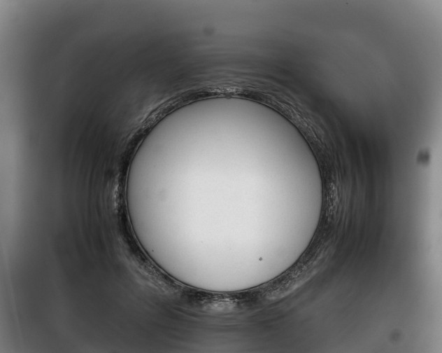 X0000100420600200806060949