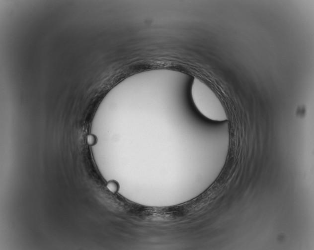 X0000100420601200806060949