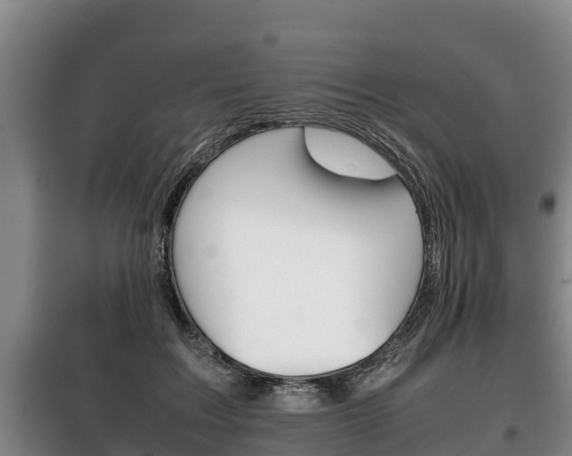X0000100420603200806060949