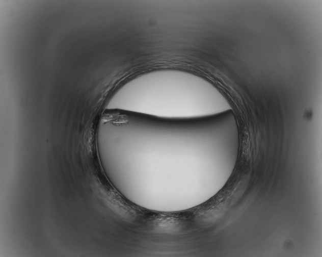 X0000100420604200806060949