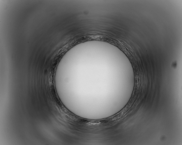 X0000100420606200806060949