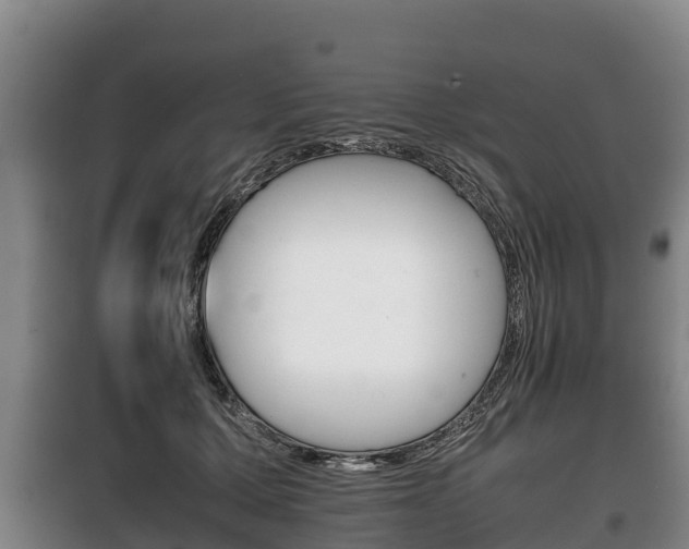 X0000100420607200806060949