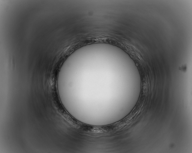 X0000100420608200806060949