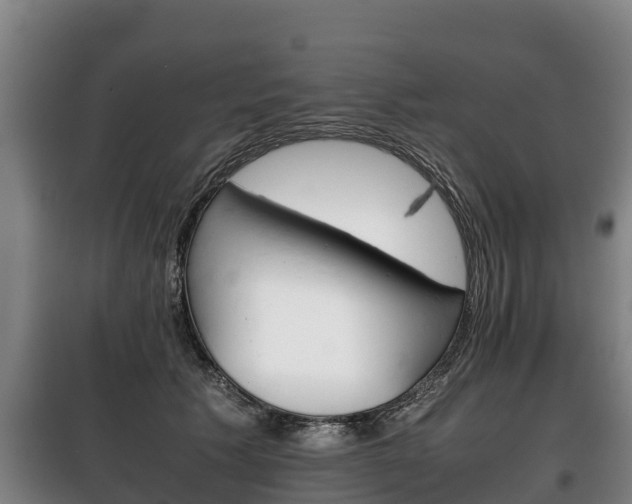 X0000100420609200806060949